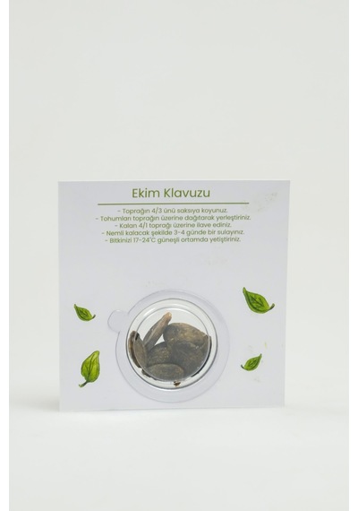 Eski Tip Yerli Yuvarlak Yeşil Karpuz Ata Tohumu 10 Adet