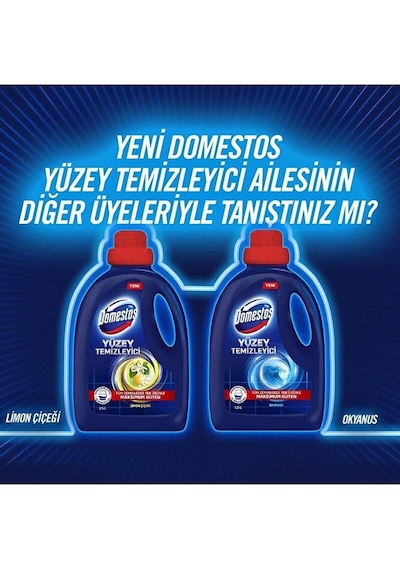 Domestos Yüzey Temizleyici Çam 1500 Ml X 2 + Domestos Dağ Esintis Diğer
