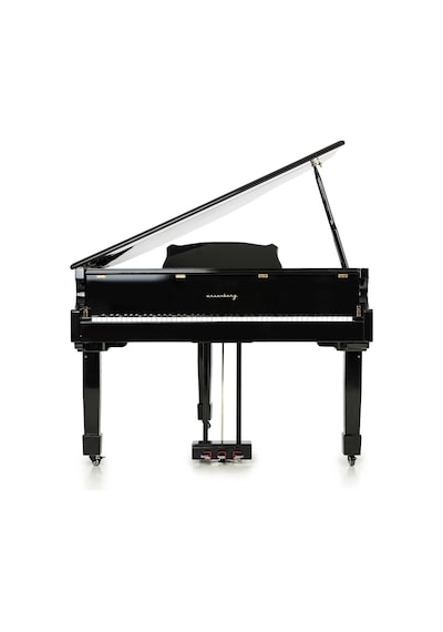 Arsenberg Speyer Agp150b Siyah Grand Piyano