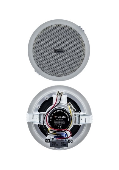 Ws-1013t 6w 13cm Tavan Hoparlörü