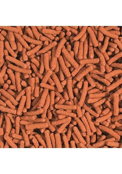 Koi Goldfish Colour Sticks Japon Yemi 4 Kg