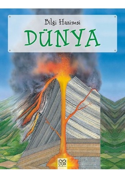 Bilgi Hazinesi Dünya - Julia Bruce - 1001 Çiçek