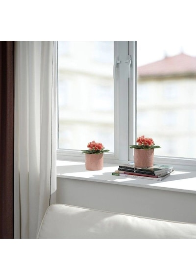 Ikea Fejka Saksılı Yapay Çuha Çiçeği 16 Cm Siyah Yeşil Bordo Beyaz Çok  Renkli