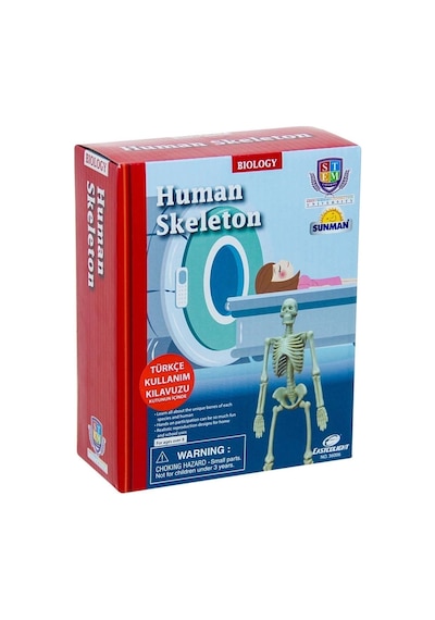 Buğz Bilim Seti : İnsan İskeleti - S00028206 Lacivert - Siyah