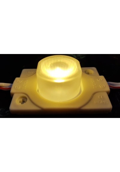 20 Adet 1,5w Günışığı Dar Açılı Manda Gözü Mercekli Modül Led 12 Volt Als-170g Günışığı