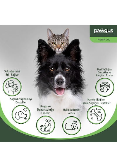 Pawgus Kenevir Yağ Kedi Köpek SakinleştiriciHiperaktivite