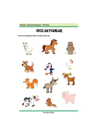 Beyin Egzersizleri Kitap Seti 2 Kitap