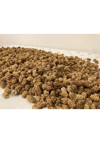 Baş Değirmenler İzmir Torbalı Doğal Beyaz Dut Kurusu 250 G