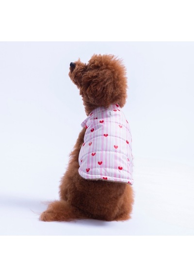 Moyo Pembe Çizgili Kalp Desen Yelek Köpek Yeleği Köpek Kıyafeti Köpek Yağmurluk