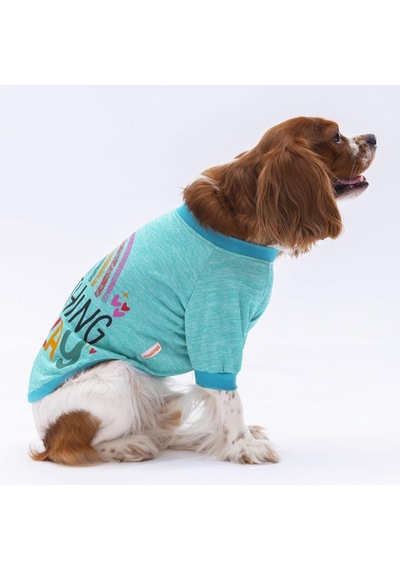 Pawstar Mint Everything Kedi Köpek Sweati Kıyafeti