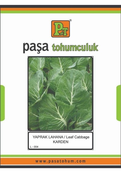 Yaprak Lahana Tohumu Karden 10 Gr