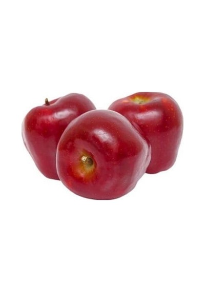Red Chief Elma Fidanı 3 Yaş Tüplü ve Aşılı