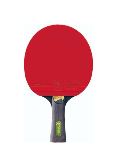 Giant Dragon P40+masa Tenisi Raketi Ittf Onaylı