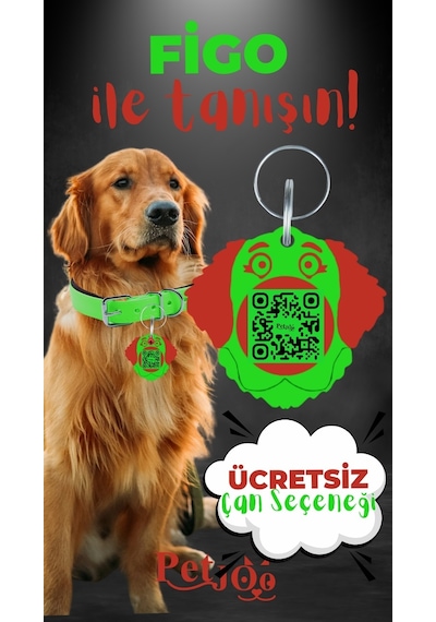 Petjoo 27.Figo Kırmızı-Yeşil Qr'lı Köpek Künyesi