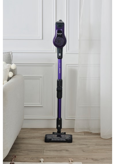 Homend Dustrider 1266H Dikey Süpürge