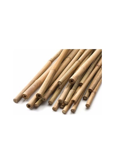 Çok Avantajlı Bambu Bitki Destek Çubuğu 60cm 10'lu Set