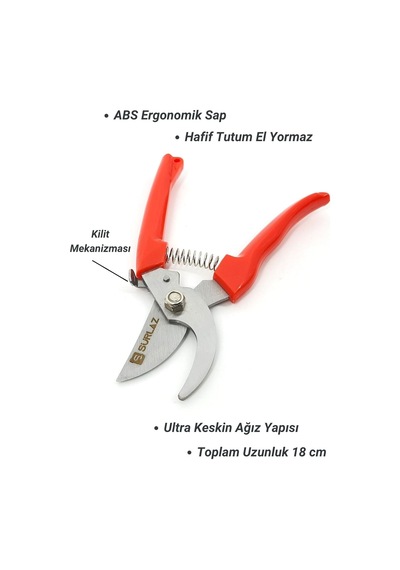 Ayrex Sürlaz Profesyonel Budama Makası, Ergonomik Kaymaz Saplı, Yeşil, Bahçe Bitki Ve Dal Kesimi İçin