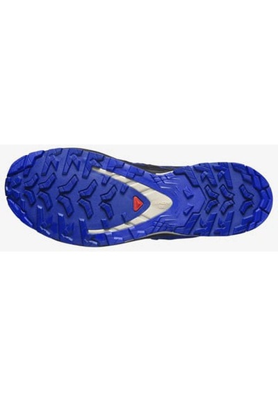 Salomon Erkek Outdoor Ayakkabı Xa Pro 3d V9 Gtx L47270300 Mavi