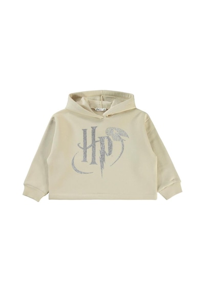 Harry Potter 6-9 Yaş Sweatshirt Çok Renkli