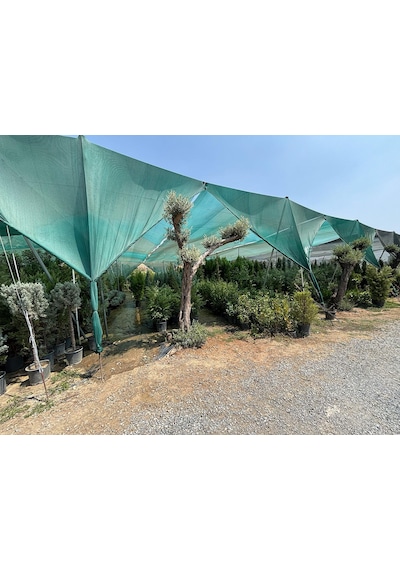 Bahçe Filesi - 95lik - Yeşil -şeritli Halkalı