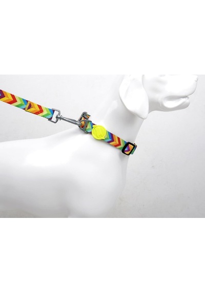Tailpetz Boyun Tasmaları Large, Raınbow Çok Renkli
