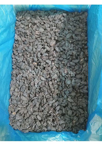 Toptan Çekirdeksiz Özbek Üzüm 10 Kg 10 KG