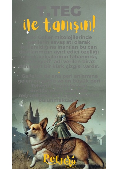 Petjoo 15.T.Teg Sarı-Gri Qr'lı Köpek Künyesi