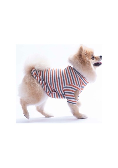 Kiremit Marseille Softline Çizgili Kedi Köpek Sweati Köpek Kıyafeti Kedi Kıyafeti
