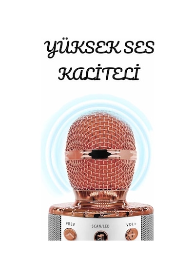 Şarjlı Ve Uzun Pil Ömürlü Karaoke Mikrofon Usb Bellek Destekli, Profesyonel Ses - Lisinya