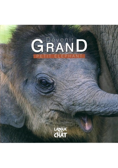 Petit Éléphant Langue Au Chat