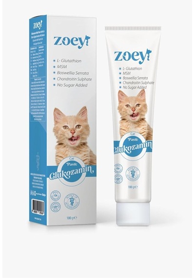 Glukozamin Malt Paste Kediler İçin Eklem Sağlığını Destekleyen Malt Macun 100 Gr