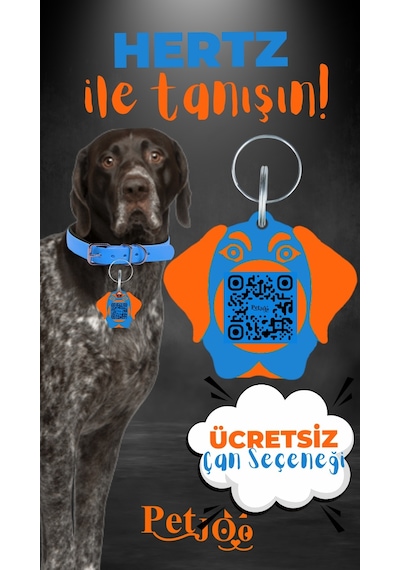 Petjoo 26.Hertz Turuncu-Mavi Qr'lı Köpek Künyesi