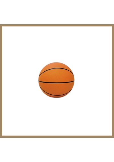Bezos Basketbol Topu 1 Adet 22