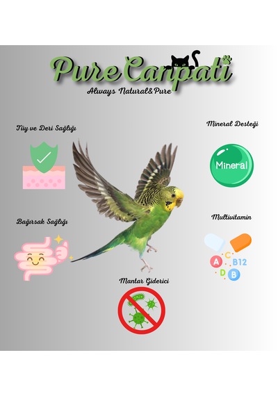 Purecanpati Tam Kuş Vitamin Ve Bakım Seti Muhabbet Paraket Kanarya