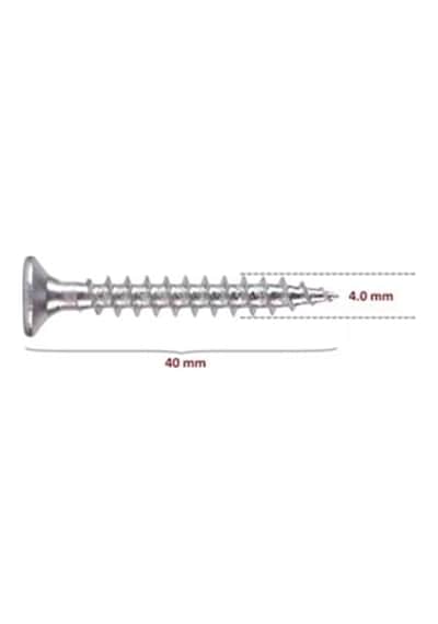 Sunta Vidası (Pz2) 4X40 (500 Adet)