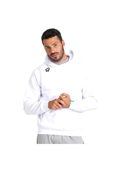 Arena Team Hooded Sweat Panel Erkek Beyaz Günlük Stil Sweatshirt 004904100 Beyaz