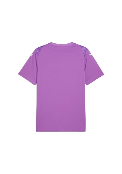 Puma Teamultimate Jersey Erkek Futbol Maç Forması 70628033 Mor Mor