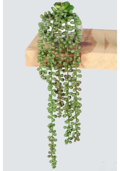 Yapay Çiçek Deposu Gümüş Mini Kabak Saksıda Succulentli Sarkan Tesbih Çiçeği 42 Cm