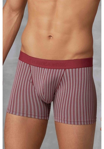 Doreanse Erkek Modal Çizgi Desenli Normal Paça Boxer 1866-Lacıvert Lacivert