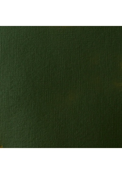 Liquitex Basics Akrilik 118Ml - Hooker'S Green Hue Permanent 224