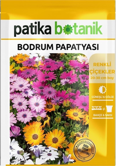 50 Adet Bodrum Papatyası Çiçek Tohumu