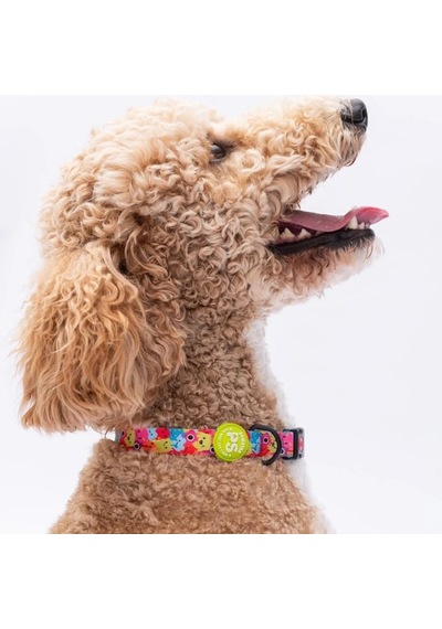 Pawstar Monsters Boyun Tasması M Boyun Çevresi: 32 Cm X 48 Cm Çok Renkli