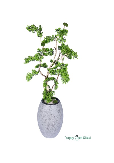 Yapay Çiçek Sitesi Fiber Saksıda Doğal Gövdeli Bonsai Yapay Ağaç 190 Cm Yeşil