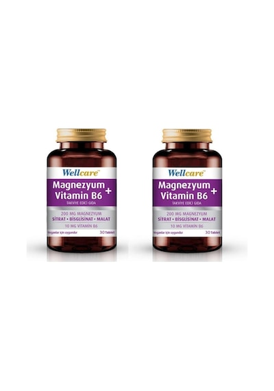 Wellcare Magnezyum Vitamin B6 Takviye Edici Gıda 2 x 30 Tablet