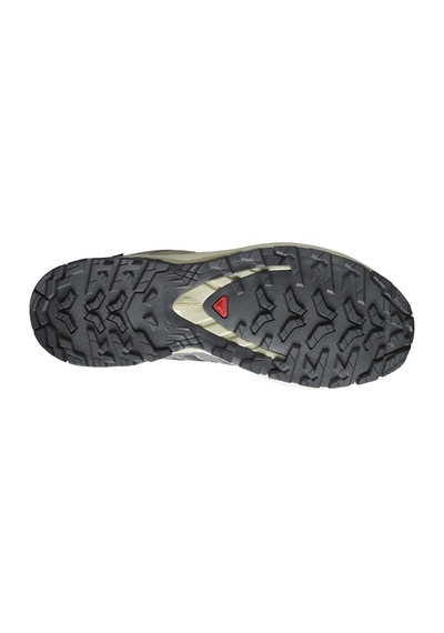 Salomon Xa Pro 3d V9 Gore-tex Kadın Ayakkabı Gri
