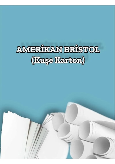 450 Gr. Amerikan Bristol Kağıt Karton 50x70 100 Adet
