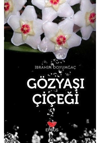 Gözyaşı Çiçeği - İbrahim Doyumgaç - Efsus