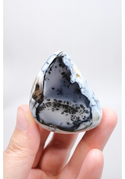 Alkimik Mavi Ve Altın Birleşimi: Cilalı Merlinit Dendritik Opal Numunesi