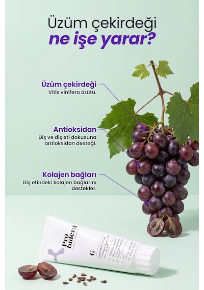Probident Üzüm Çekirdeği Özütü İlaveli Probiyotik Diş Macunu 75 ML