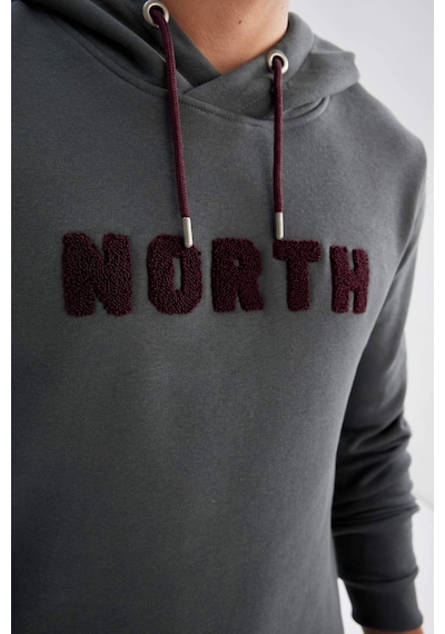 DeFacto Regular Fit Kapüşonlu Baskılı Kalın Sweatshirt L5850AZ24AUGN807